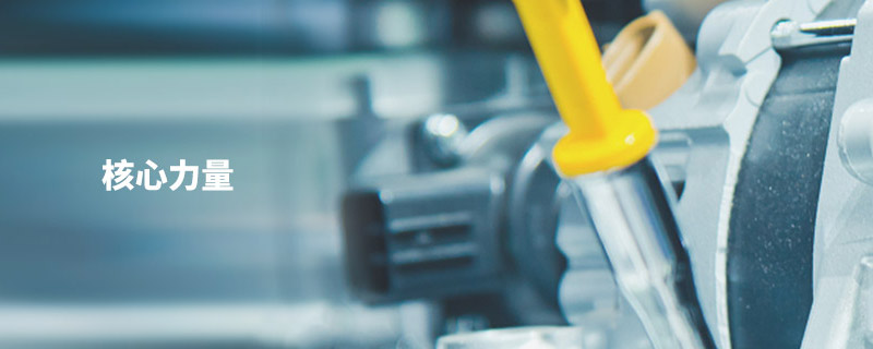 核心力(li)量